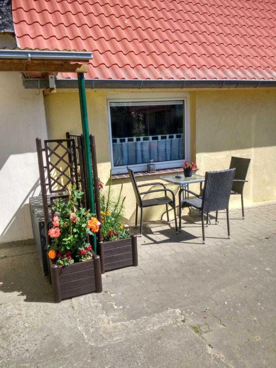 Reiter Apartment
